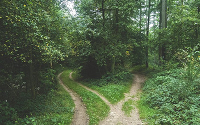 Every fertility journey is different – personalised reproductive care